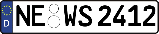 NE-WS2412