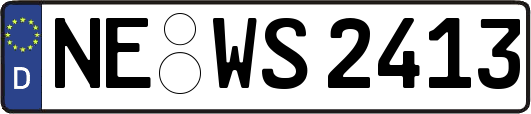 NE-WS2413
