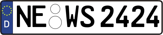 NE-WS2424