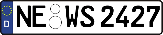 NE-WS2427