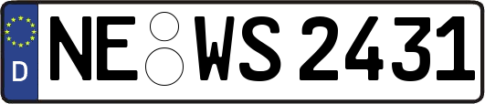 NE-WS2431