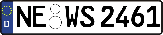 NE-WS2461