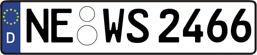 NE-WS2466