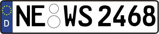 NE-WS2468