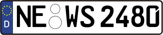 NE-WS2480