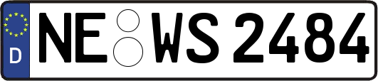 NE-WS2484