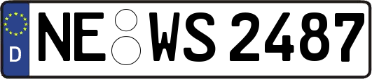 NE-WS2487