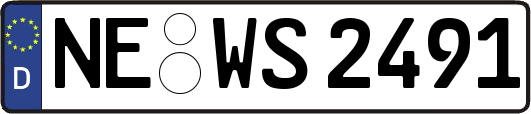 NE-WS2491