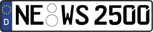 NE-WS2500