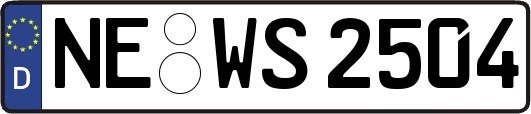 NE-WS2504
