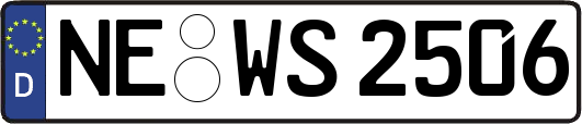 NE-WS2506