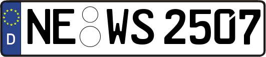 NE-WS2507