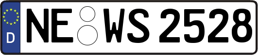 NE-WS2528
