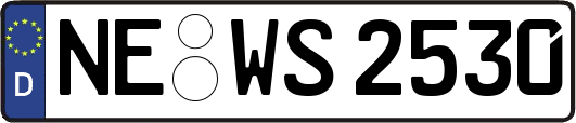 NE-WS2530