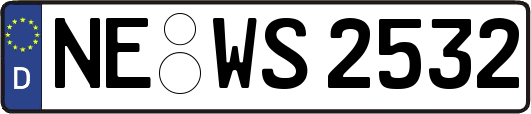 NE-WS2532