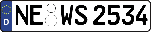 NE-WS2534