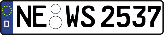 NE-WS2537