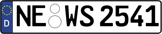 NE-WS2541
