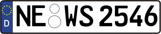 NE-WS2546
