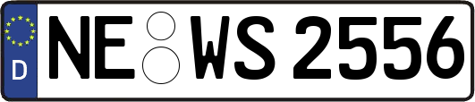 NE-WS2556