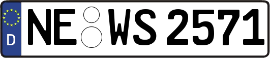 NE-WS2571