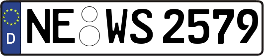 NE-WS2579