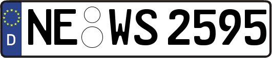 NE-WS2595