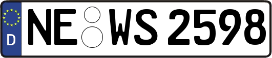 NE-WS2598