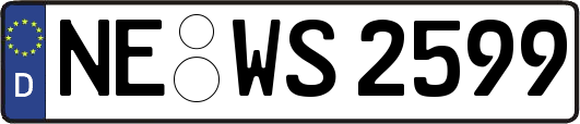 NE-WS2599