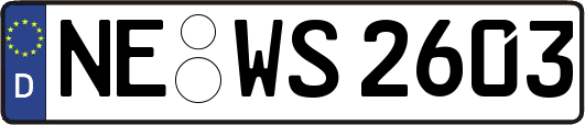 NE-WS2603