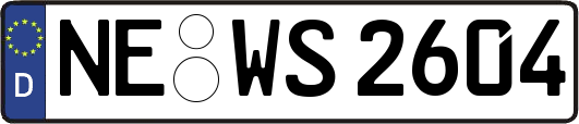 NE-WS2604