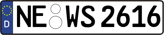 NE-WS2616