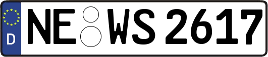 NE-WS2617