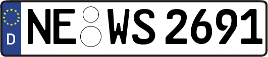 NE-WS2691