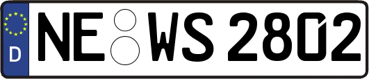 NE-WS2802
