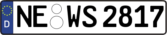NE-WS2817