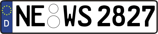 NE-WS2827