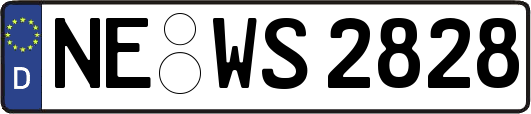 NE-WS2828