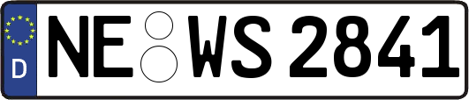 NE-WS2841