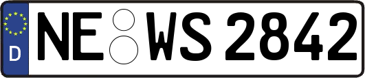 NE-WS2842
