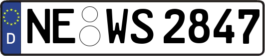 NE-WS2847