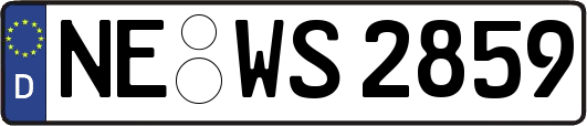 NE-WS2859
