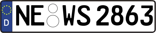 NE-WS2863