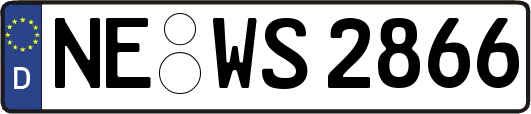 NE-WS2866