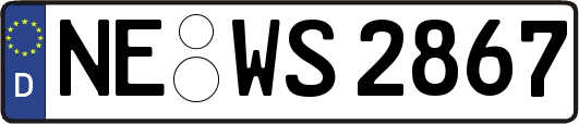 NE-WS2867