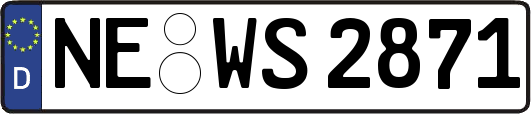 NE-WS2871