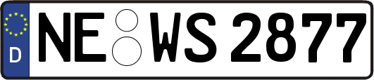 NE-WS2877