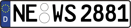 NE-WS2881