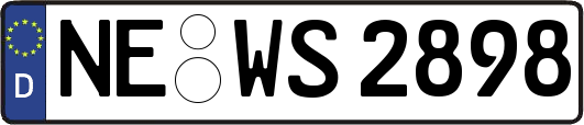 NE-WS2898