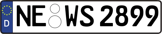 NE-WS2899